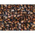Shandong Jinfeng Cereals&Oils Group Co.,Ltd